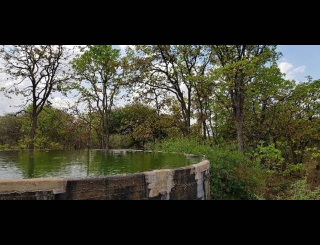 FARM FOR SALE IN MOPANE